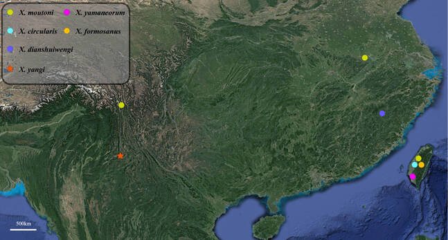 电子游戏app下载安装