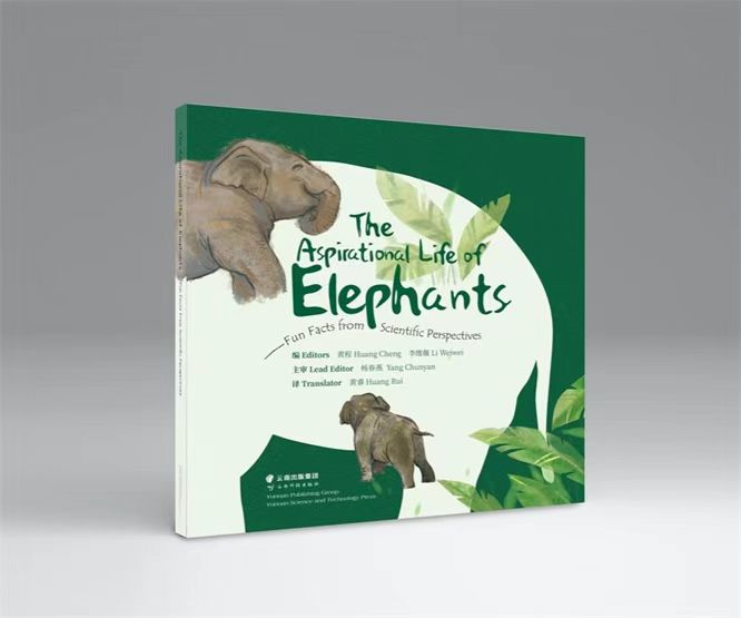 电子游戏app下载安装