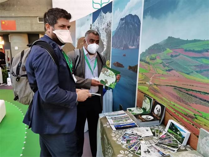 电子游戏app下载安装