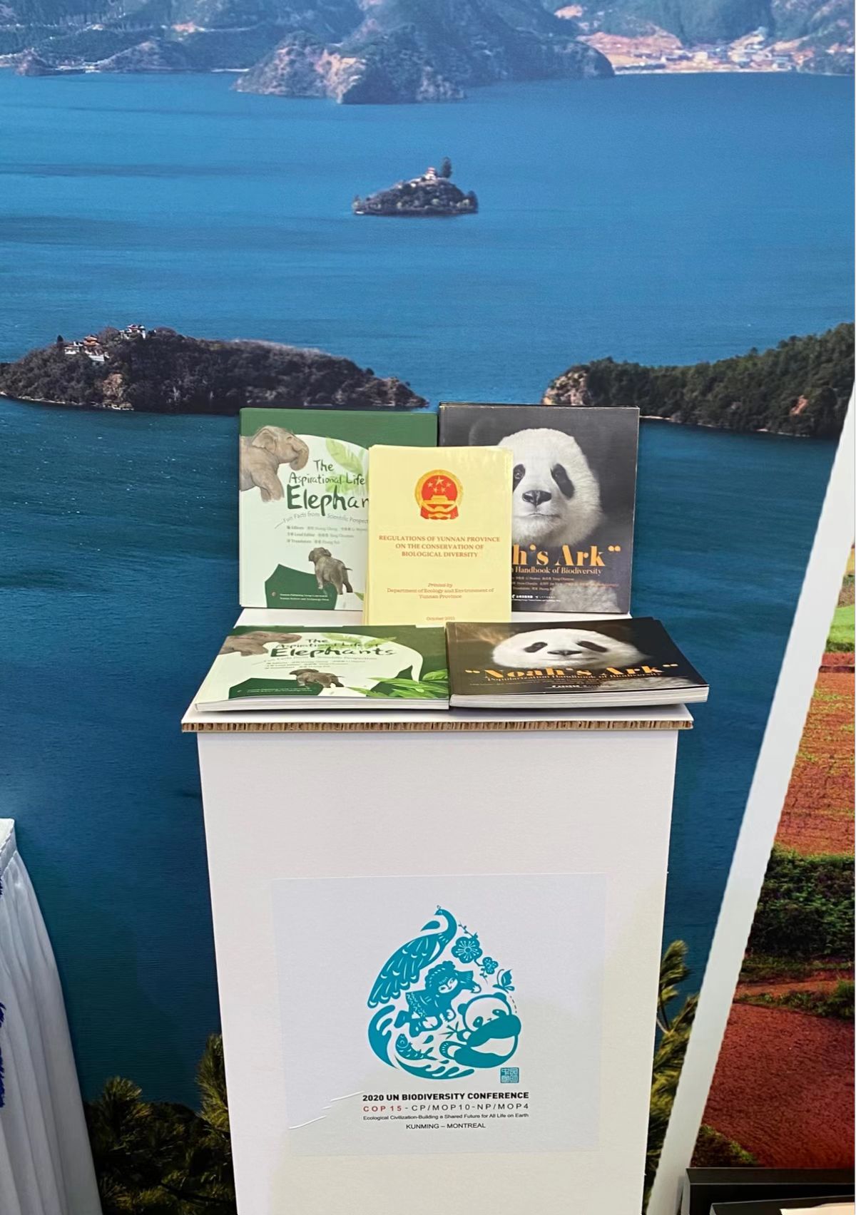 电子游戏app下载安装