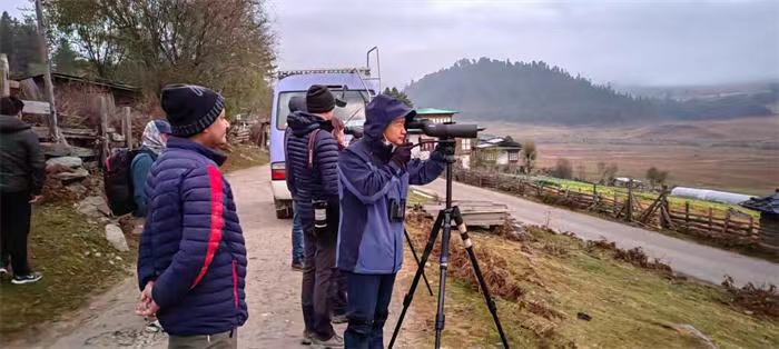 电子游戏app下载安装