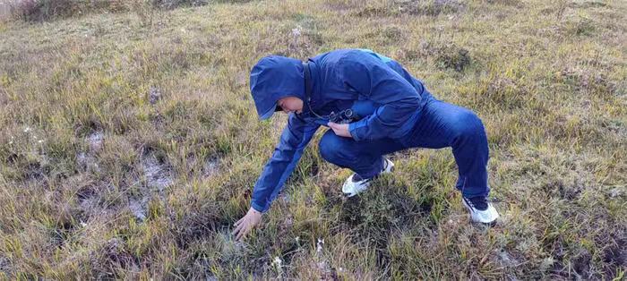 电子游戏app下载安装