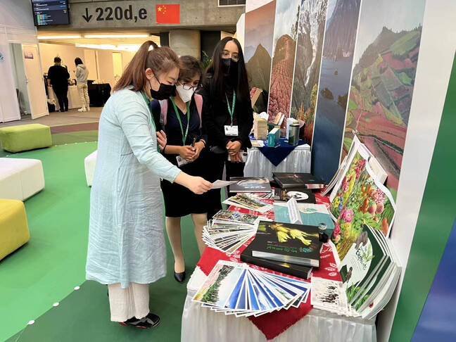 电子游戏app下载安装