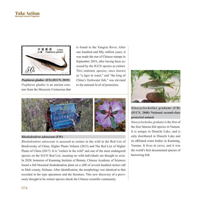 电子游戏app下载安装