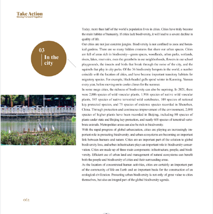 电子游戏app下载安装