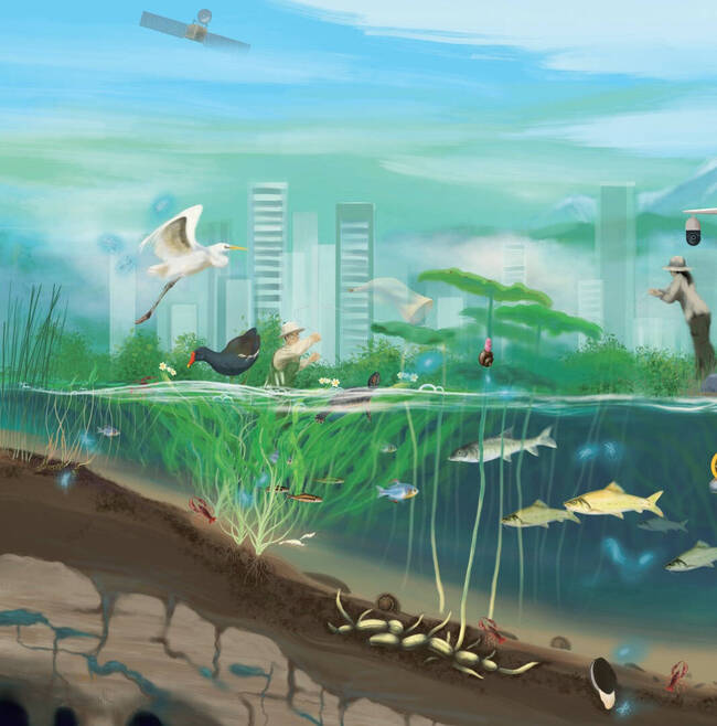 电子游戏app下载安装