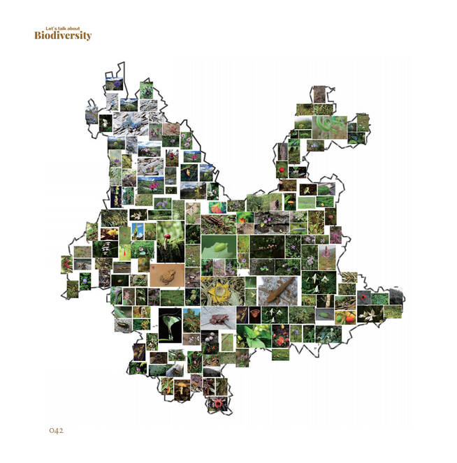 电子游戏app下载安装