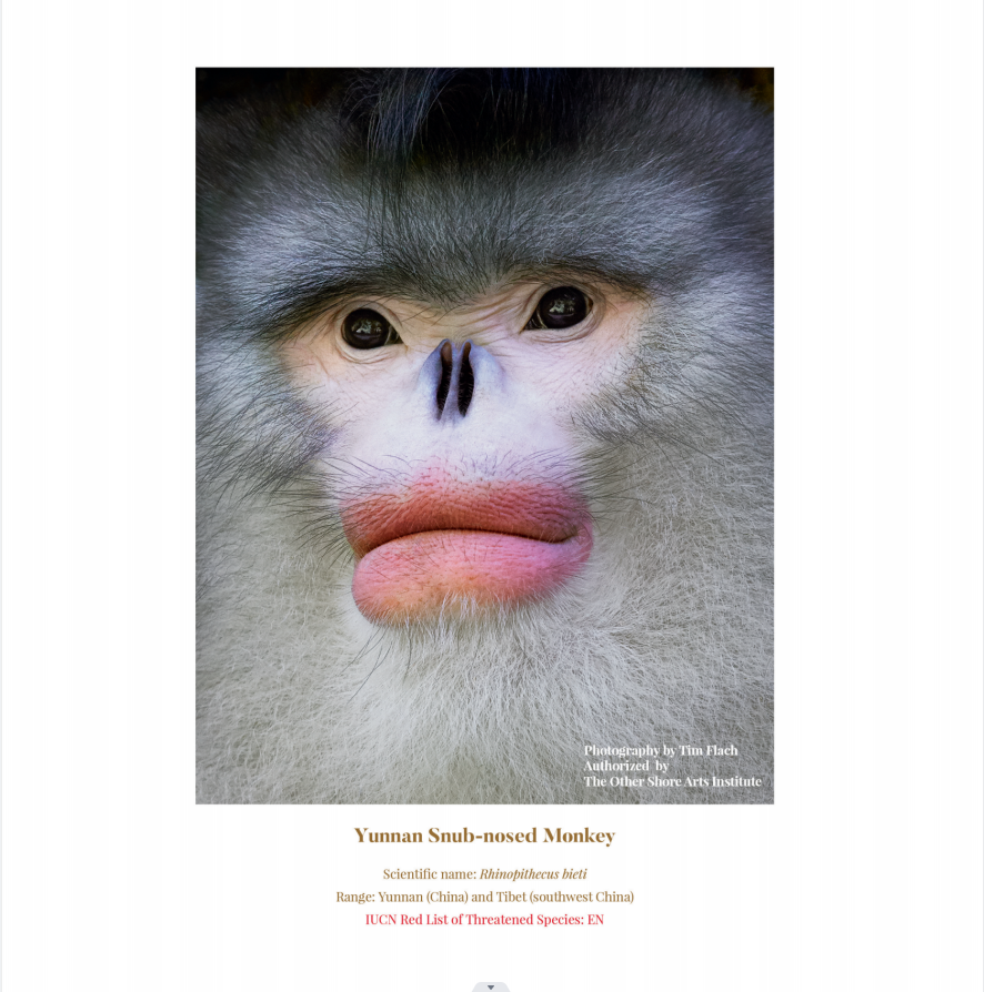 电子游戏app下载安装