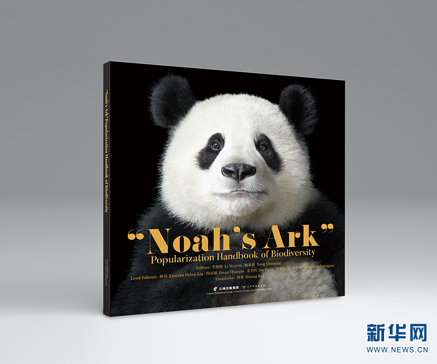 电子游戏app下载安装