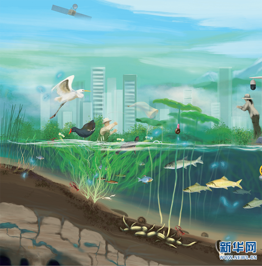 电子游戏app下载安装