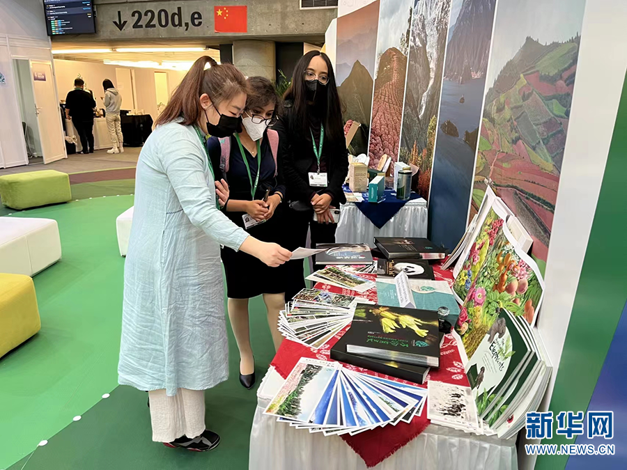 电子游戏app下载安装