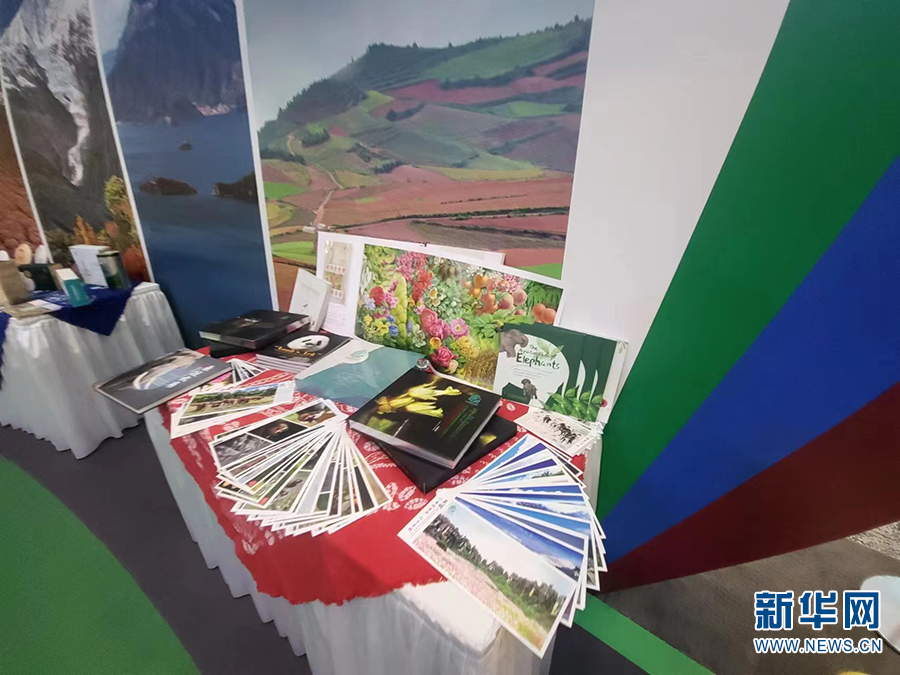 电子游戏app下载安装