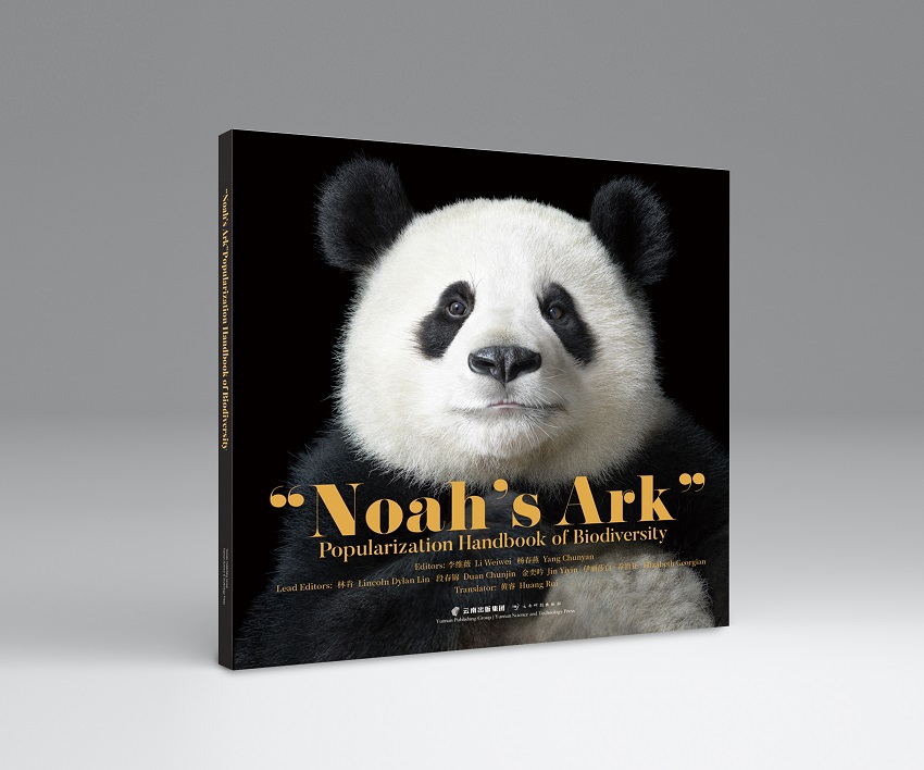 电子游戏app下载安装