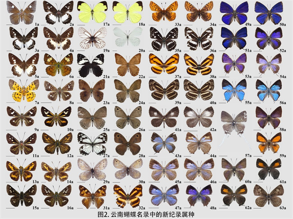 电子游戏app下载安装