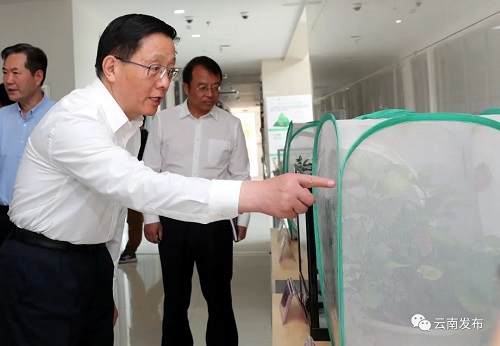 电子游戏app下载安装