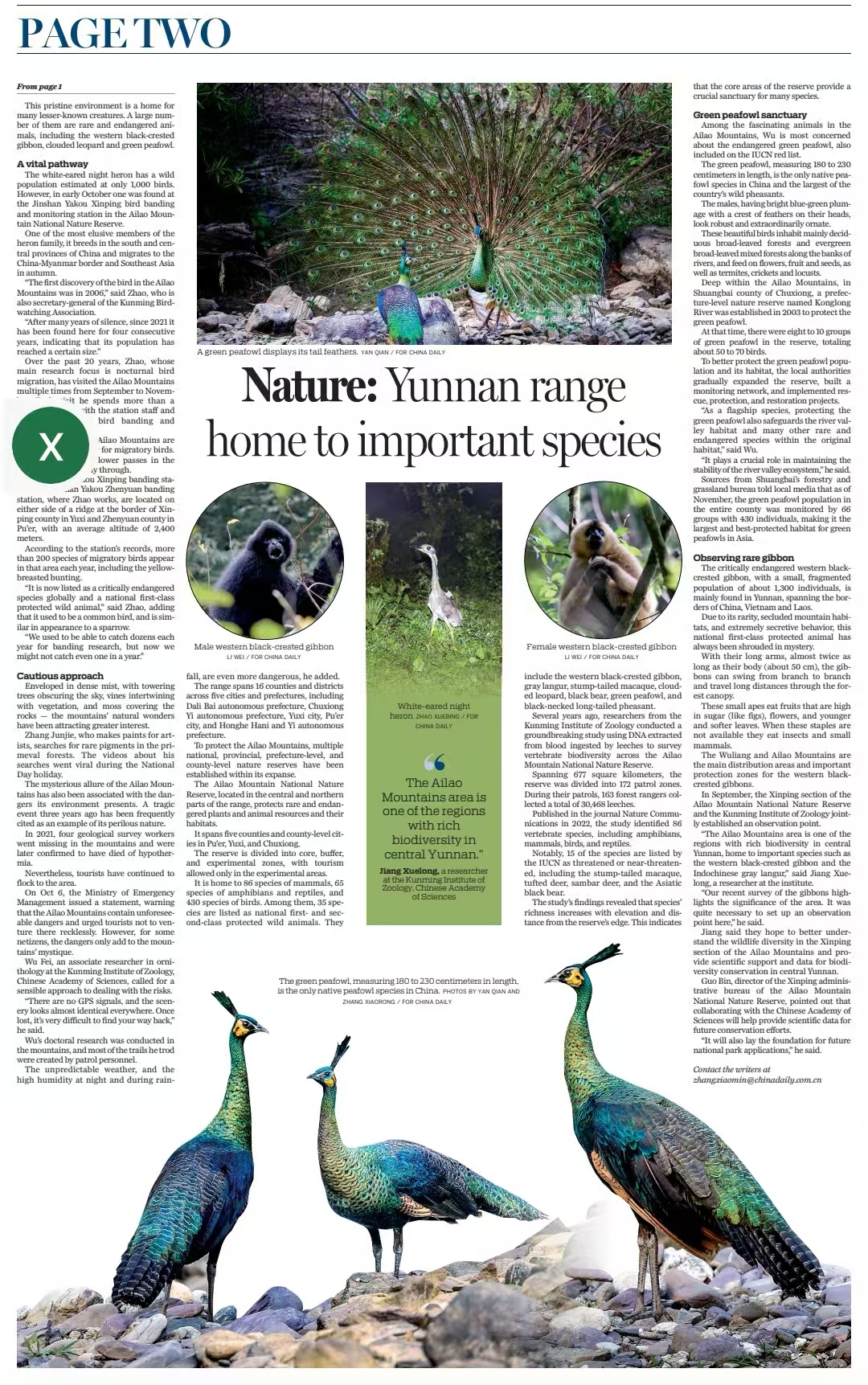 电子游戏app下载安装