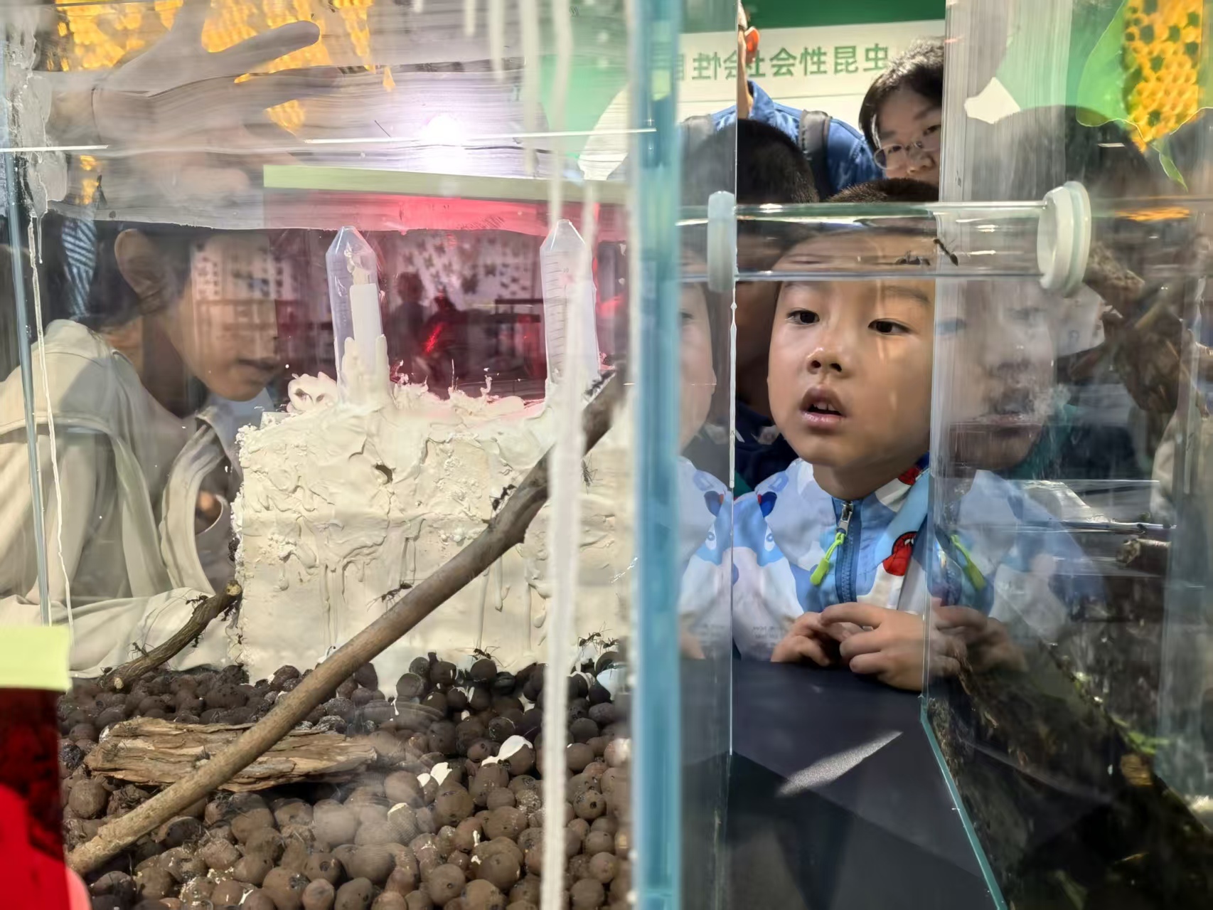 电子游戏app下载安装