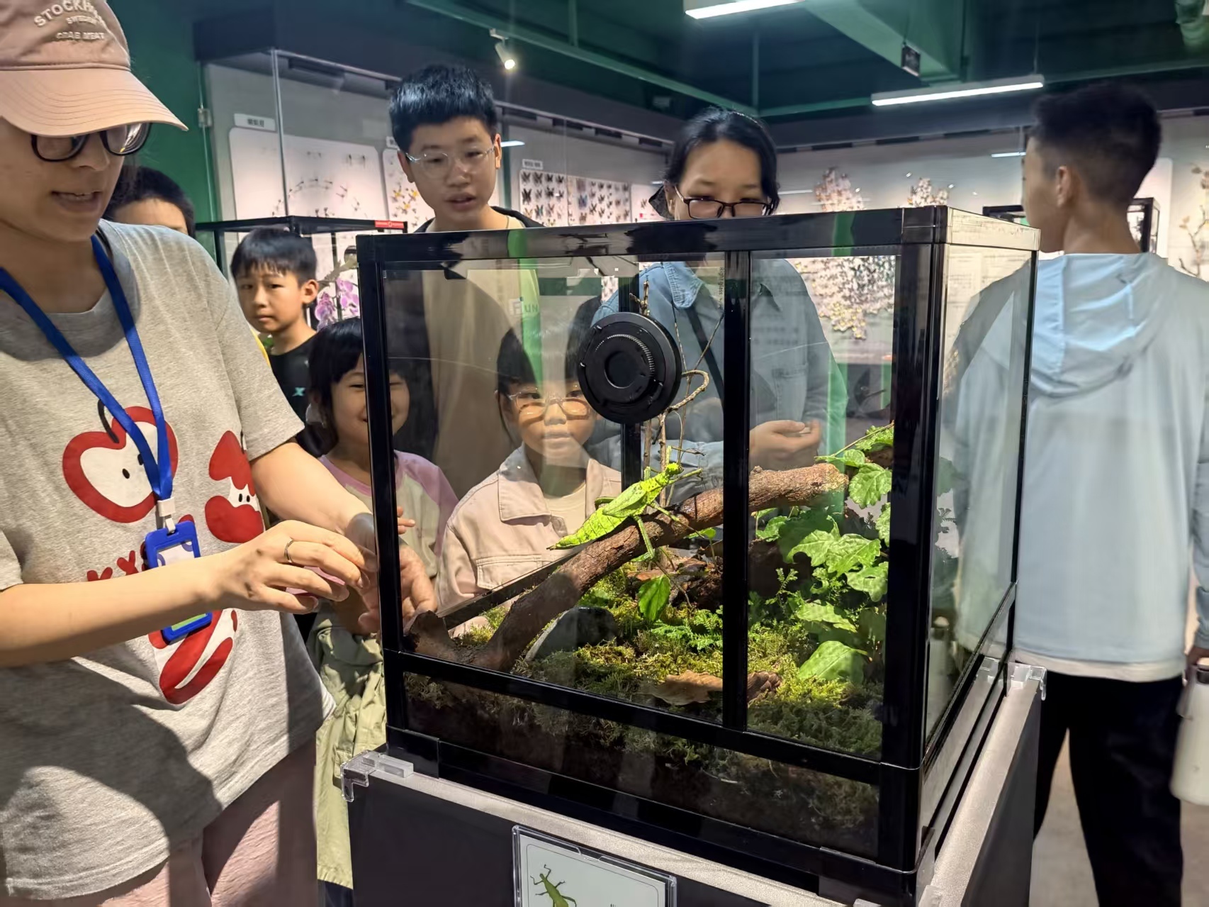 电子游戏app下载安装