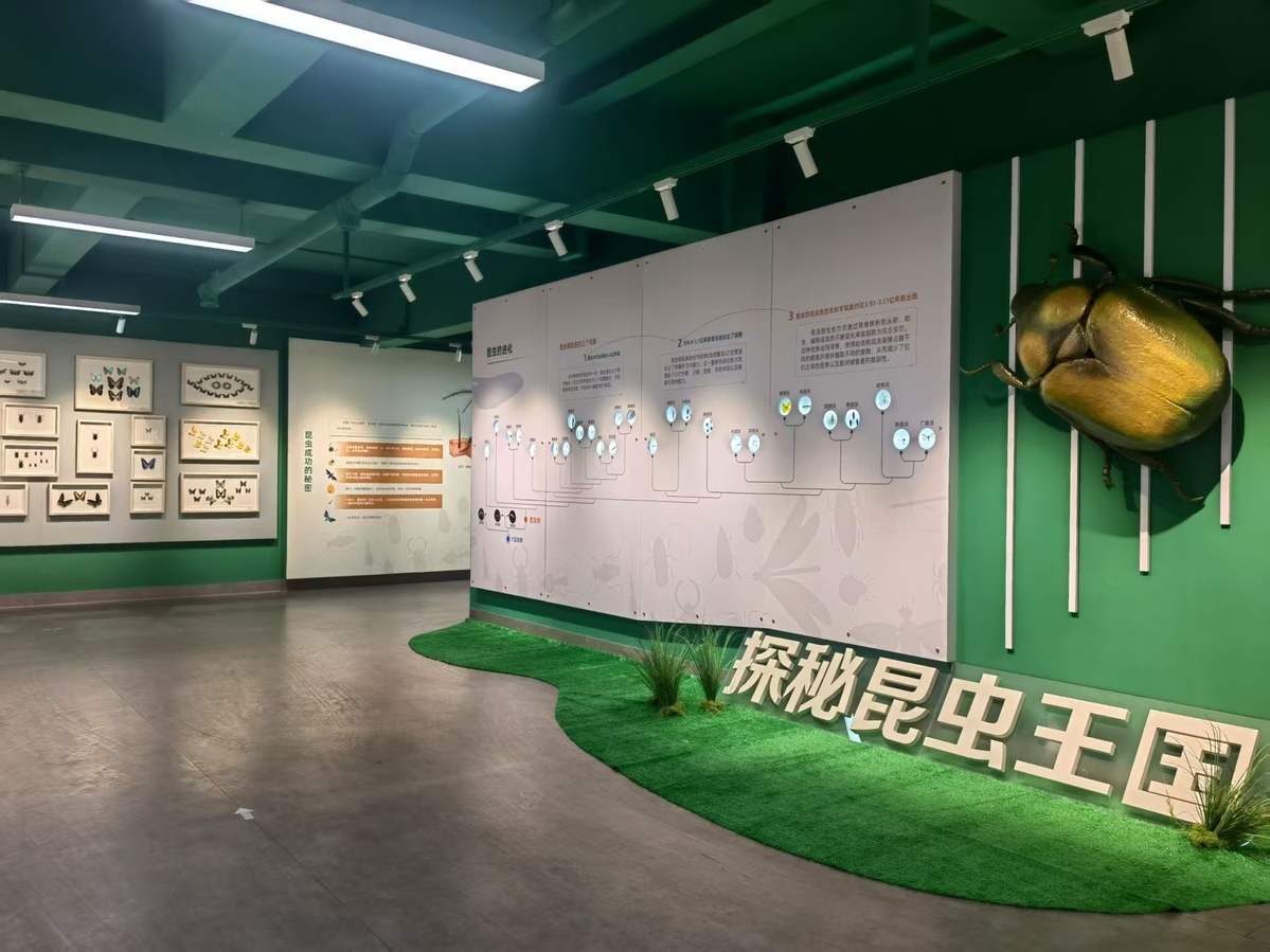电子游戏app下载安装
