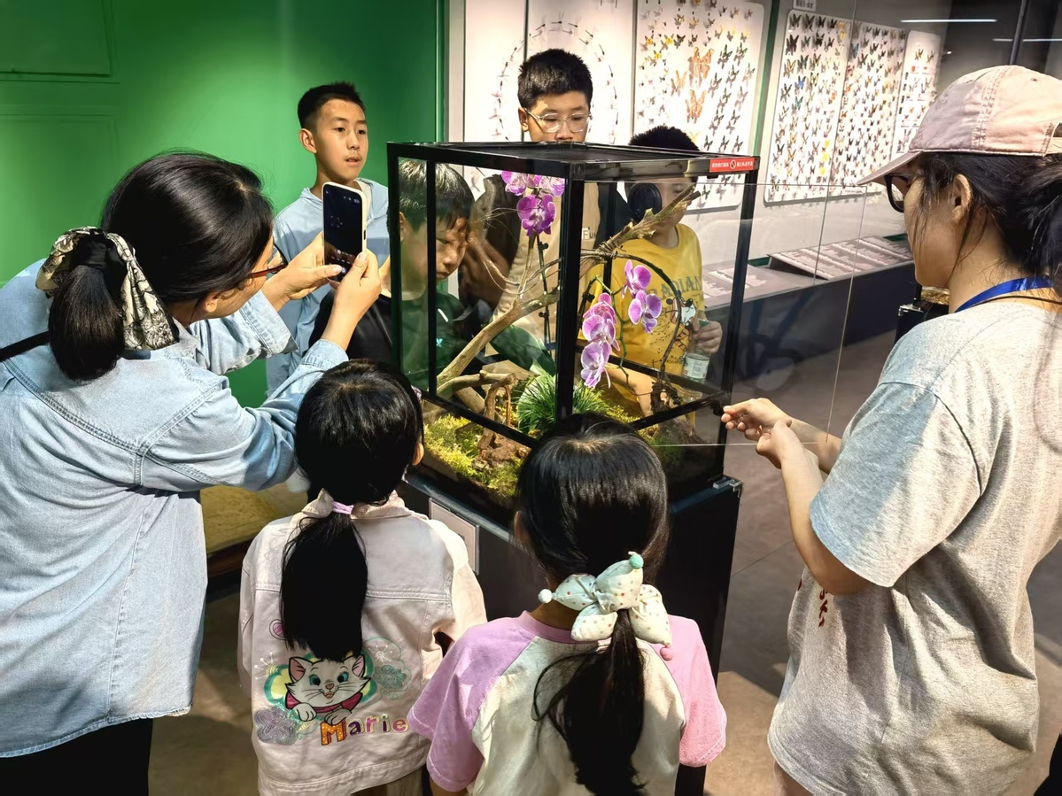 电子游戏app下载安装
