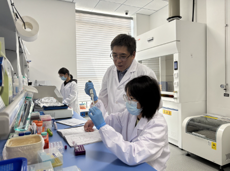 电子游戏app下载安装
