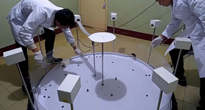 电子游戏app下载安装