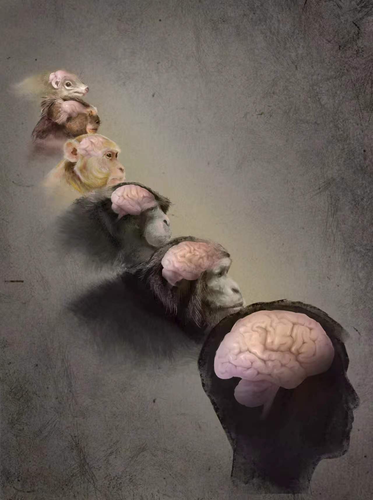 电子游戏app下载安装