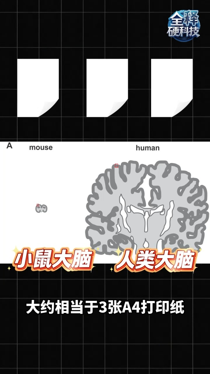 电子游戏app下载安装