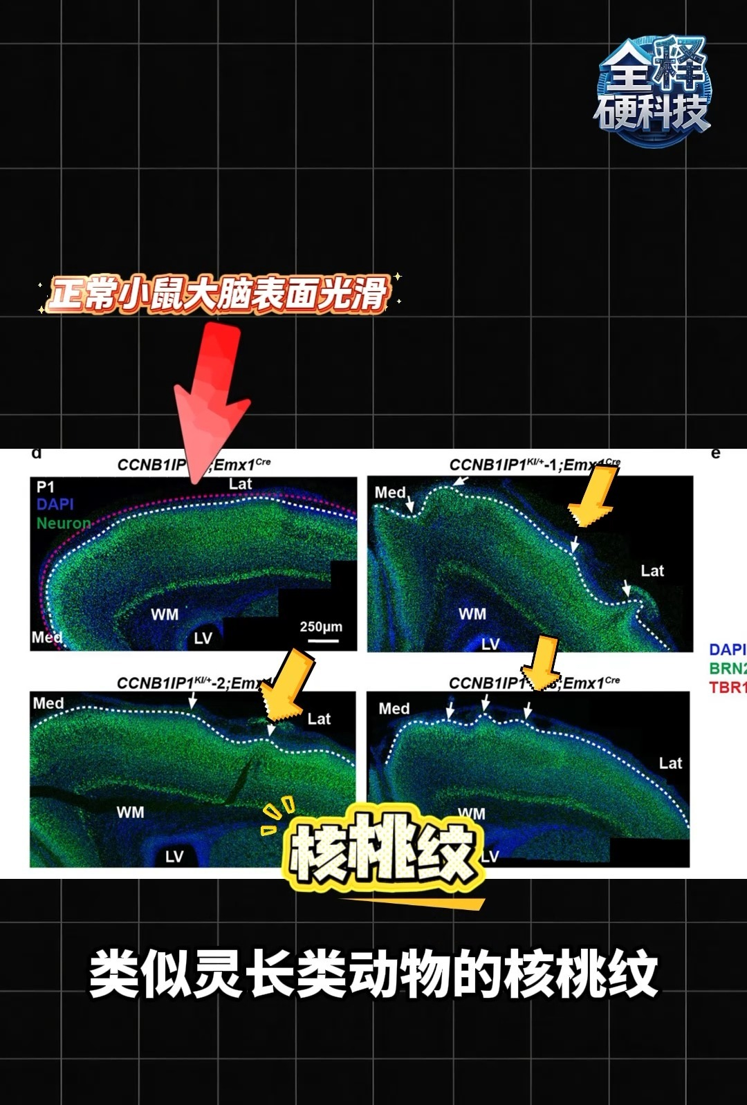 电子游戏app下载安装