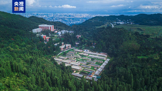 电子游戏app下载安装