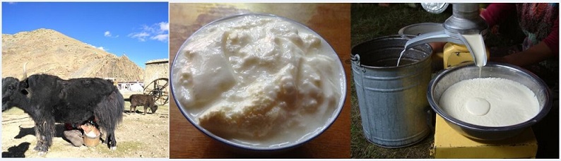 电子游戏app下载安装