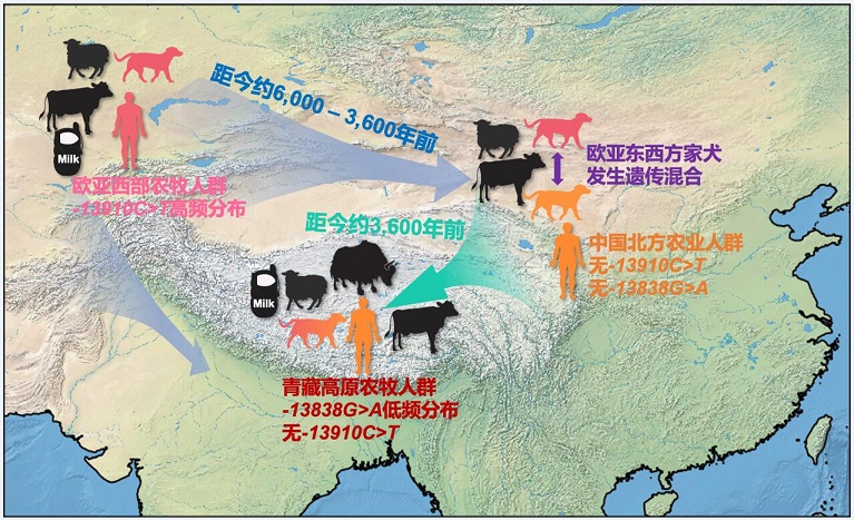 电子游戏app下载安装