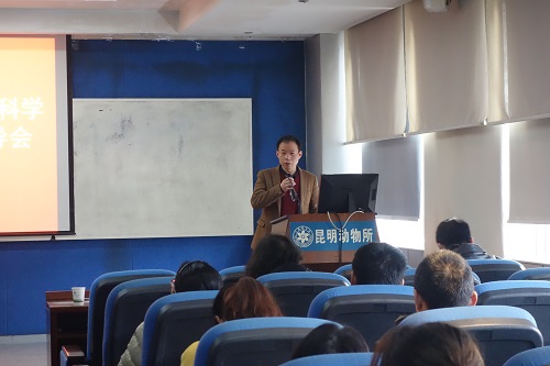 电子游戏app下载安装