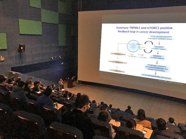 电子游戏app下载安装