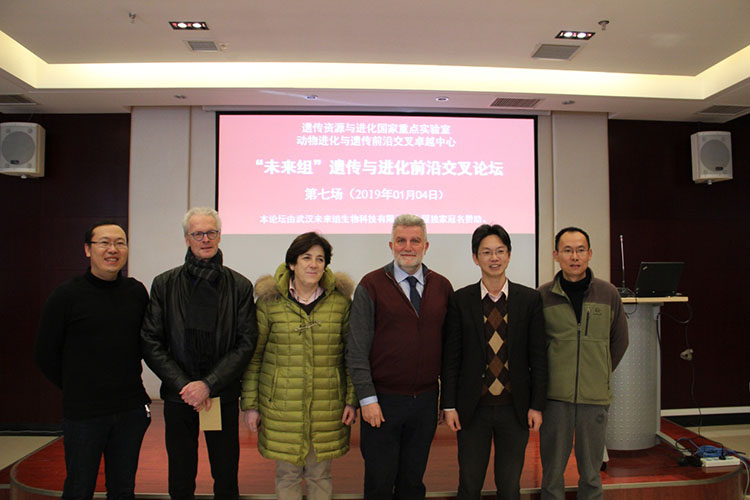 电子游戏app下载安装