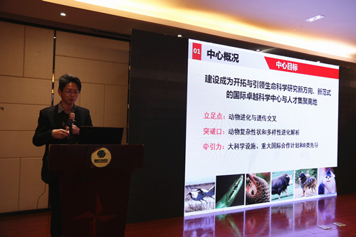 电子游戏app下载安装