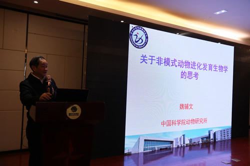 电子游戏app下载安装