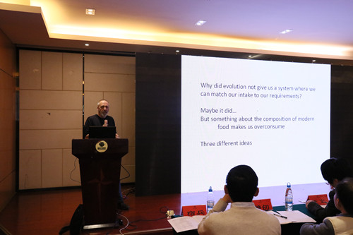 电子游戏app下载安装