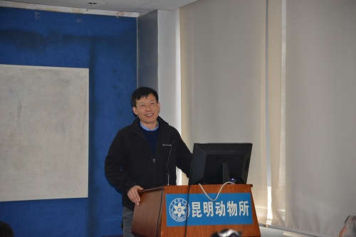 电子游戏app下载安装