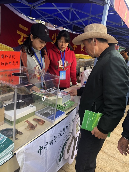 电子游戏app下载安装