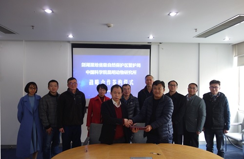 电子游戏app下载安装