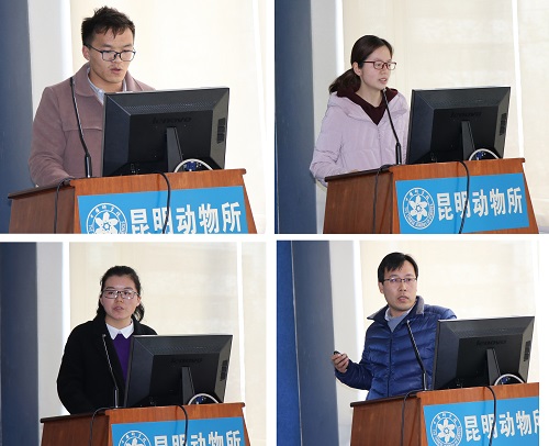 电子游戏app下载安装