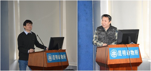 电子游戏app下载安装