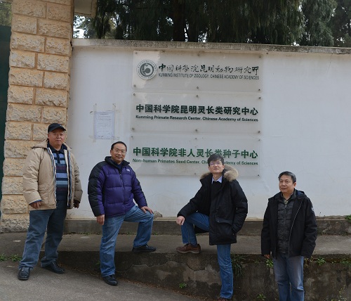 电子游戏app下载安装