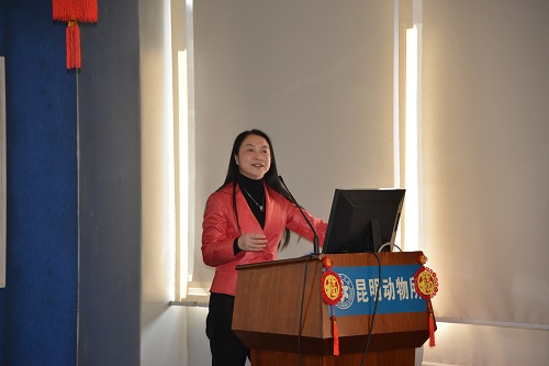 电子游戏app下载安装