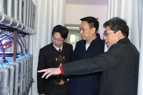 电子游戏app下载安装