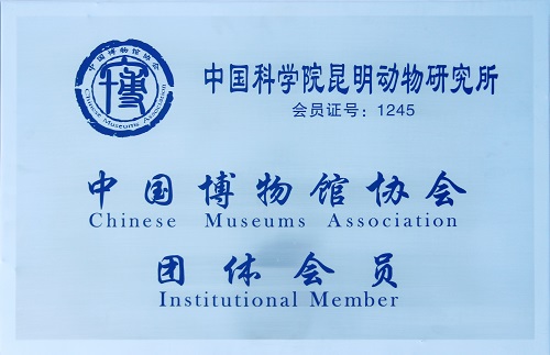 电子游戏app下载安装