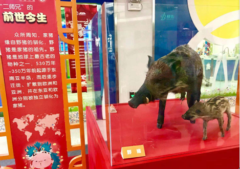 电子游戏app下载安装