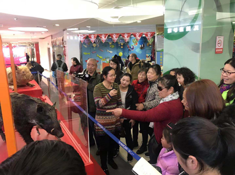 电子游戏app下载安装