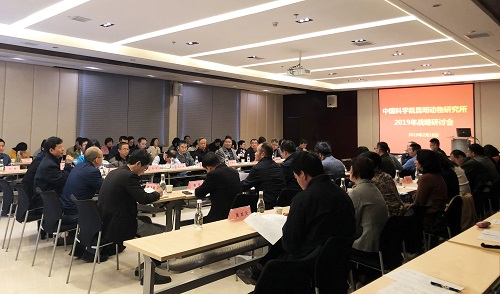 电子游戏app下载安装